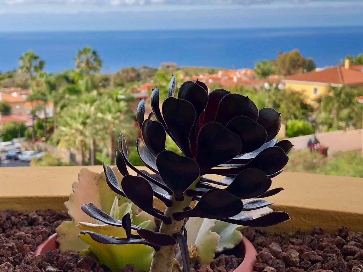 Terraza Vista Oceano La Quinta Appartement Santa Úrsula Buitenkant foto
